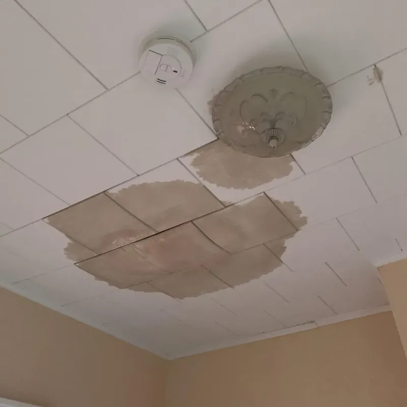 Ceiling Water Damage Repair in Cumberland County, VA