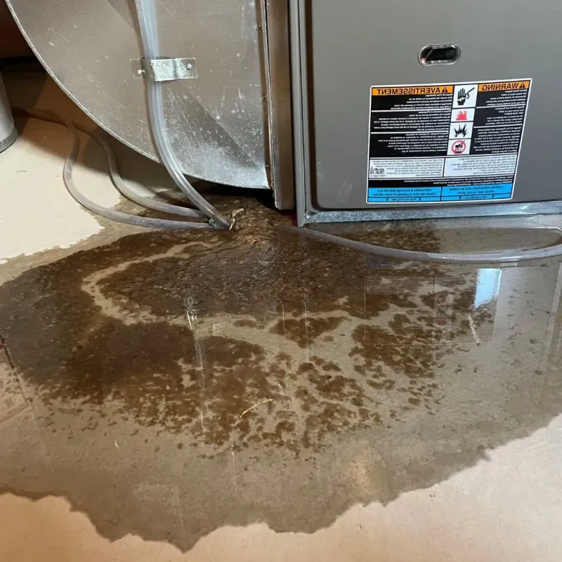 Pipe Burst and Leak Restoration in Cumberland County, VA
