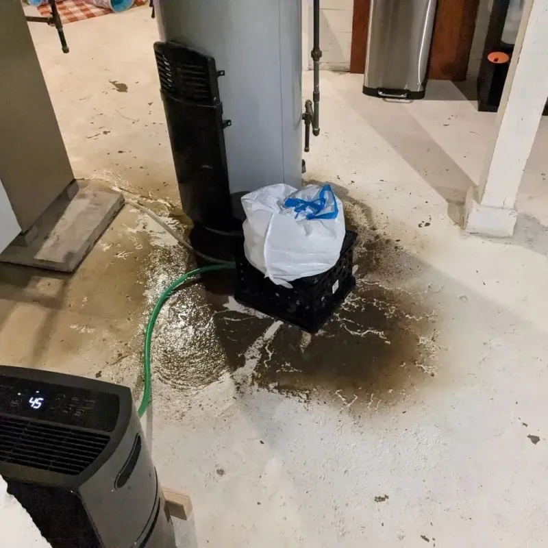 Sewage Backup Cleanup Service in Cumberland County, VA